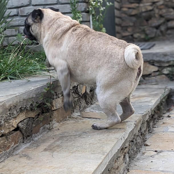 PXL_20240602_123601498.PORTRAIT