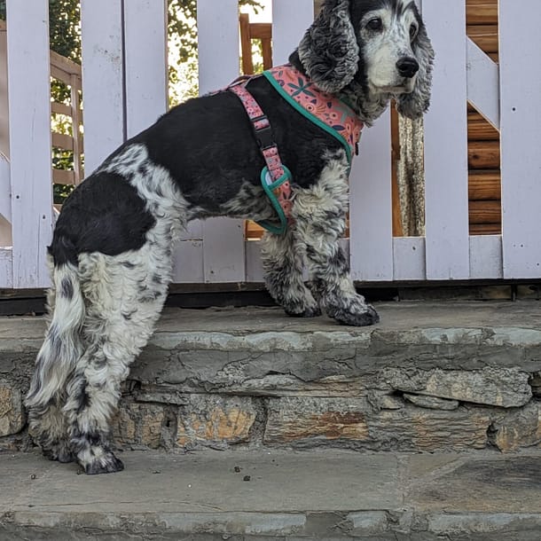 PXL_20240602_123711958.PORTRAIT.ORIGINAL